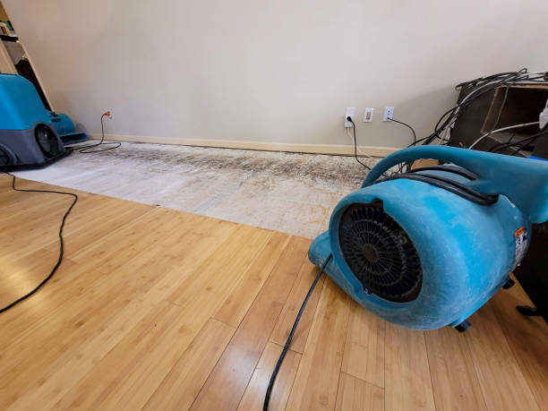 Professional Structural Drying technician working in Molina, CO